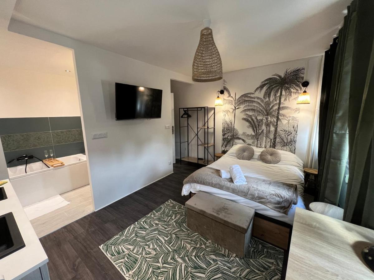 L'Ancillon Metz Gare Wifi Un-Sejour-A-Part Apartment Exterior photo